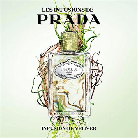 les infusions de prada vetiver|Prada infusion de vétiver.